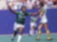 nasl.jpg